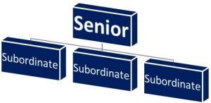 SENIOR BONDS AND SUBORDINATE BONDS