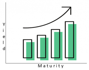 YIELD CURVE