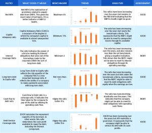 Ratio Analysis of NCD IPO by Golden Pi