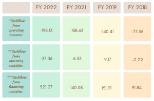 Financial Overview of KLM Axiva Finvest NCd IPO stating Cash flow