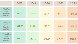 Cash flow for last 5 years of Edelweiss Financial Services