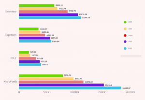 Financial Overview of Revenue Expenses, EBIT, Net Worth and Pat