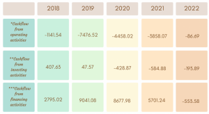 Financial Overview of Revenue Expenses, EBIT, Net Worth and Pat