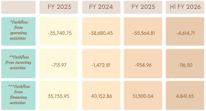 Power Finance Corporation NCD IPO